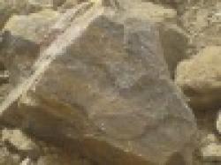 Sell Iron Ore Fines $0