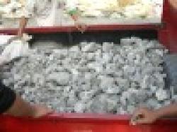 Mineral of lead (Galena) $0