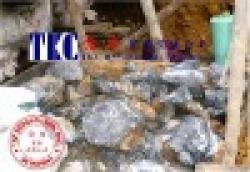 Mineral Ore Lead Zinc Chromite $0