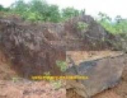 Sell Magnetite Manganese Iron Ore Fines $0