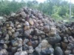 Manganese Ore $0