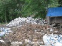 Manganese 42,0/44,0% concentration $0