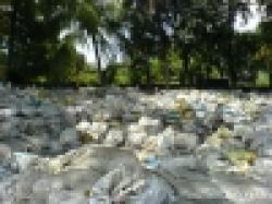 Manganese Ore Sand $0