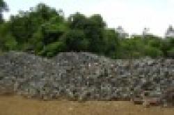 Manganese Ore $0