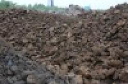 Egypt Manganese Ore