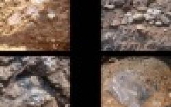 Indonesia Manganese ore $0