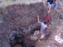 Sell : Manganese Ore 50% up $0