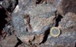 Manganese $50 per metric ton $0