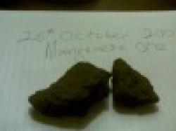 Manganese $0