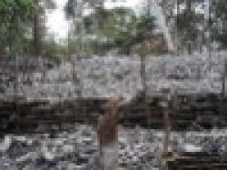 Chromite Ore and Talc from Direct seller $0