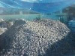 500 ton manganese 160 USD/ton $0