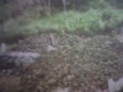 High Grade Manganese Ore from Manufacturer $0