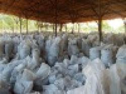 FERRO MANGANESE ORE $0