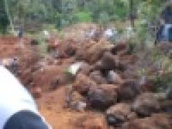 Ferrous Manganese $0