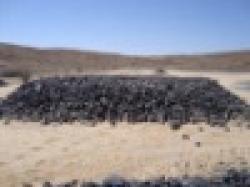 Lumpy Manganese Ore $0