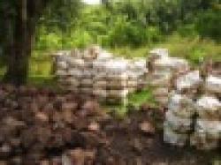 Material: Manganese ore : Grade 51,97% $0