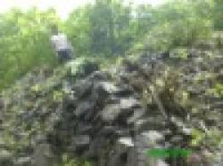 manganese ore $0