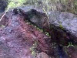 Manganese Ore 28 + 30 + Mobile No. : 09966488126 $0