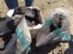 Manganese ore, Chrome ore $0