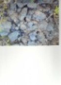 Manganese Ore 35% $0