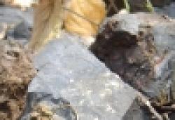 Chromite Ore And Manganese $0