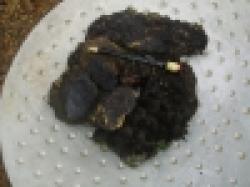 Manganese Ore $0