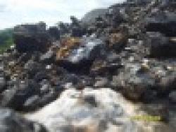 Sell Higher Manganese for Lower Price $0