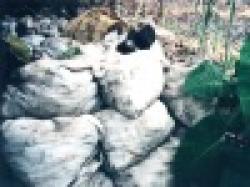 Manganese Briquets 97% $0