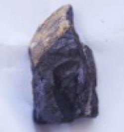 Sell Manganese ore with Mn 30% $0
