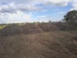 Manganese Ore Mn 50% $0