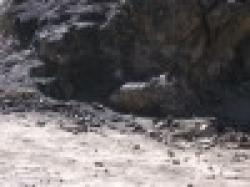 Sell 30% Up Manganese Ore $0