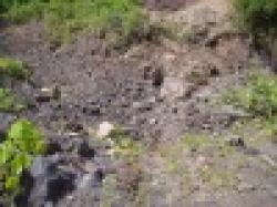 electronic manganese flake $0