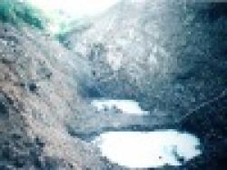 Manganese Ore Lumps 40% up $0