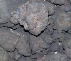 Manganese Ore Fine 43% -35% $0