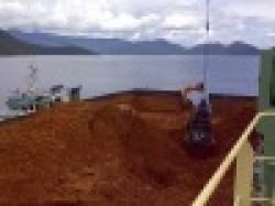 Indonesian Nickel Ore $0