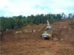 Nickel Ore 1. 7% from Indonesia $0