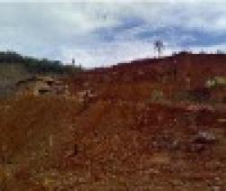 Look For Cooperation On Nickel Ore $0