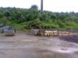 Nickel Ore from Indonesia-SATRIA BARA GROUP $0