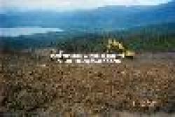 Sell Bauxite From Indonesia $0