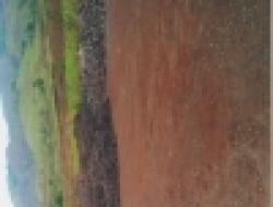 Nigeria Bauxite