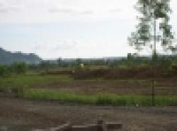 India Bauxite