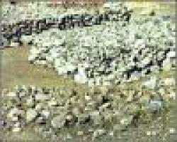 Chrome ore Grade 36% $0