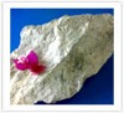 Bauxite Ore (Indian Origin) | Al2O3-46% , Rejection < 46% $0