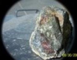 zinc oxide techical $0