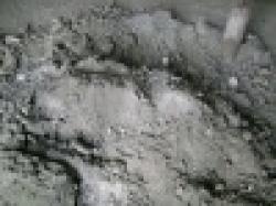 Manganese Ore, Iron Ore, Lead Ore, Zinc Ore, Chromite, Molybdenum and Copper Ore $0