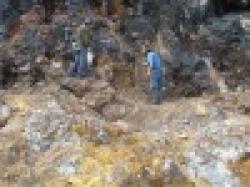 Indonesia Zinc ore 53% , pb5. 95% , sulphur 27. 90% , manganese 41. 37% , fe64% , copper18% and 20% , bitumen and palm oil
