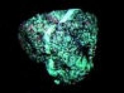 Sell Zinc Dross And Zinc Ash $0