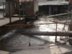 Sell Zinc Ore 55%+ $0