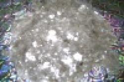 Philippines iron ore fines $0