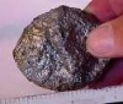 colombite tantatile ore $0